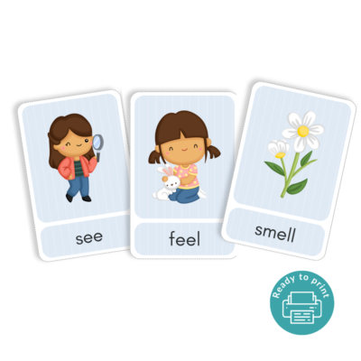 My Senses Girl Coloured Printable Flashcards