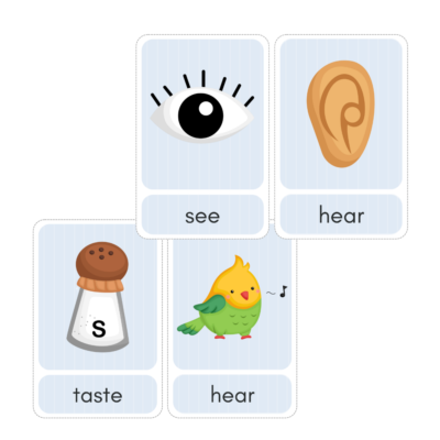 My Senses Girl Coloured Printable Flashcards