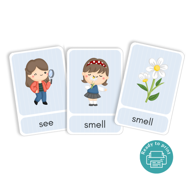 Five Senses Girl Flashcards for Preschoolers
